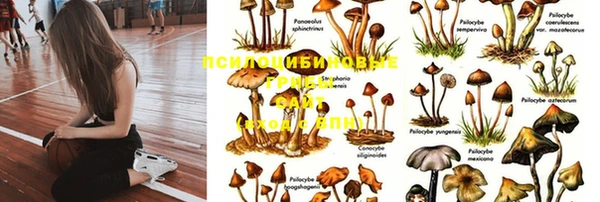 spice Мегион