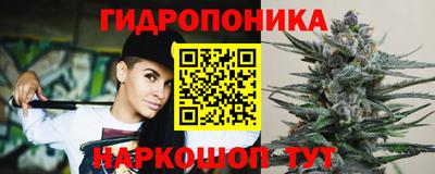 соль ск Будённовск