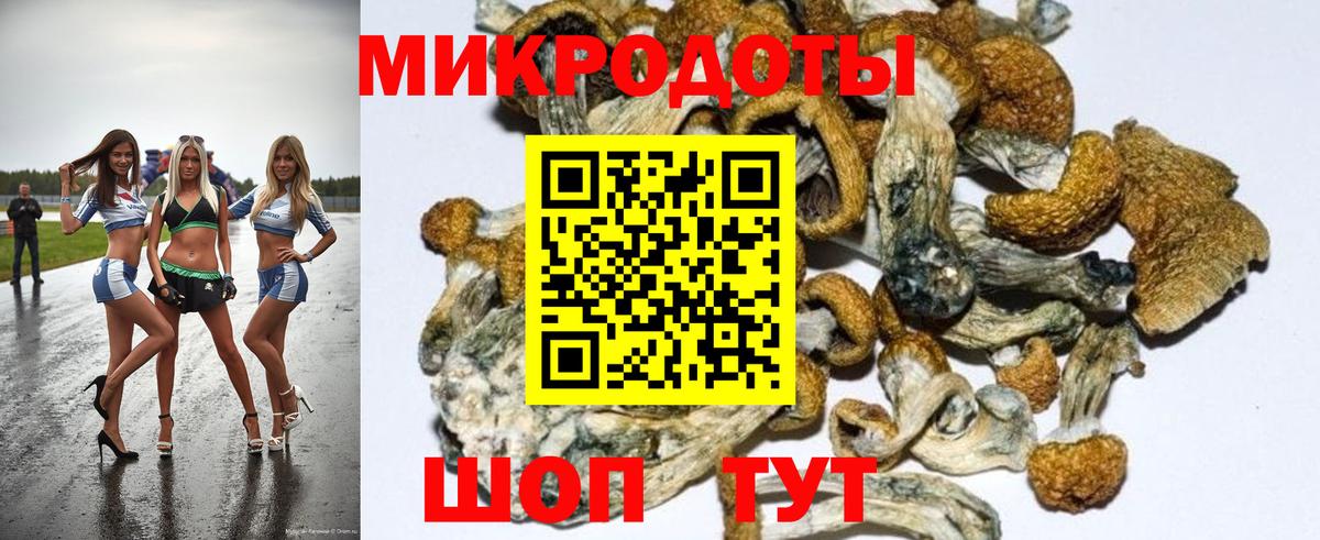 Гашиш Донской