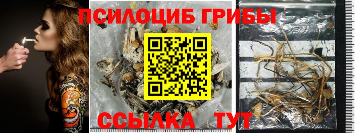 Галлюциногенные грибы Cubensis  Галлюциногенные грибы Cubensis  Вход с VPN  Донской 