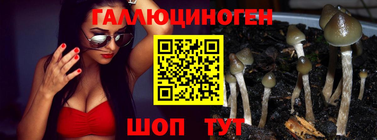 Псилоцибиновые грибы мухоморы Донской